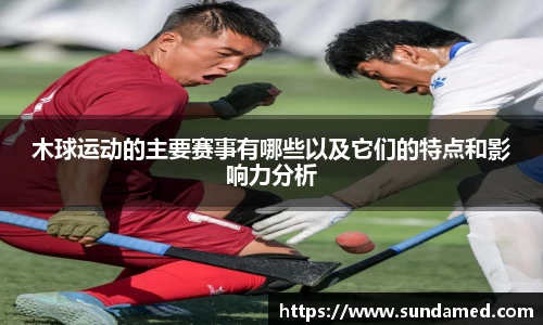 木球运动的主要赛事有哪些以及它们的特点和影响力分析