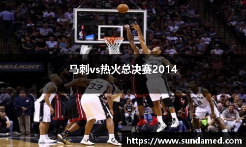 马刺vs热火总决赛2014
