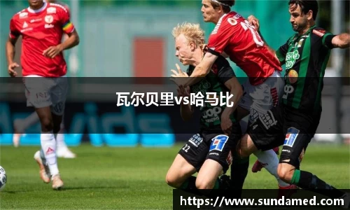 瓦尔贝里vs哈马比