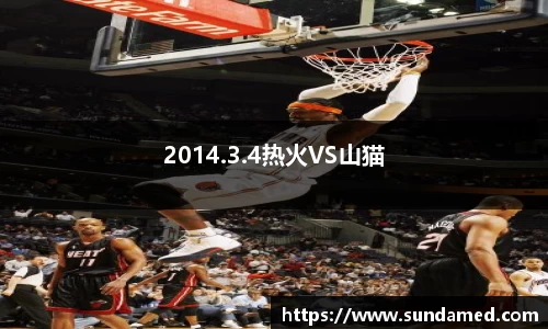 2014.3.4热火VS山猫