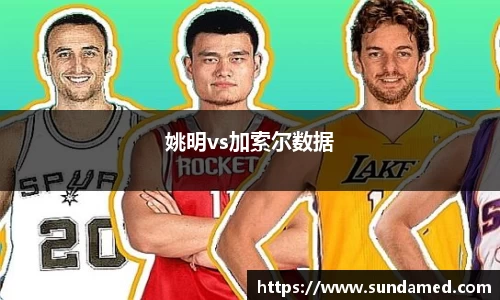 姚明vs加索尔数据