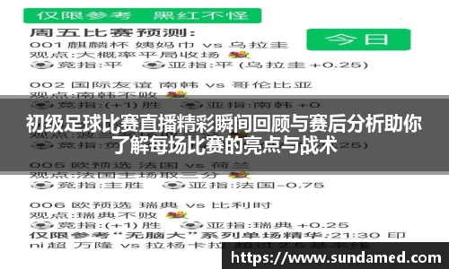初级足球比赛直播精彩瞬间回顾与赛后分析助你了解每场比赛的亮点与战术