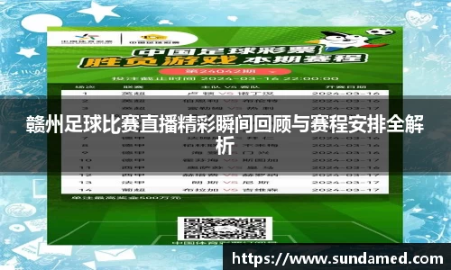 赣州足球比赛直播精彩瞬间回顾与赛程安排全解析