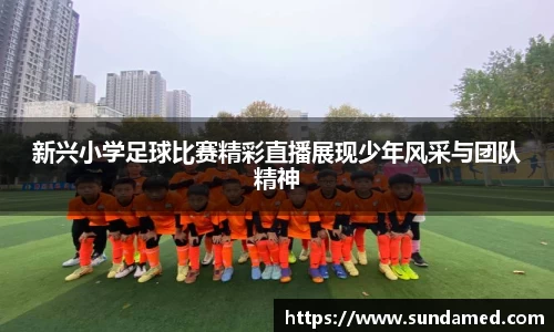 新兴小学足球比赛精彩直播展现少年风采与团队精神