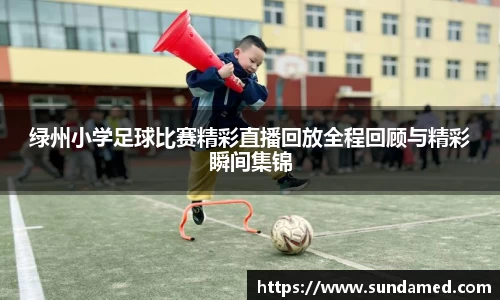 绿州小学足球比赛精彩直播回放全程回顾与精彩瞬间集锦