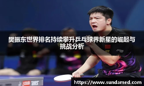樊振东世界排名持续攀升乒乓球界新星的崛起与挑战分析