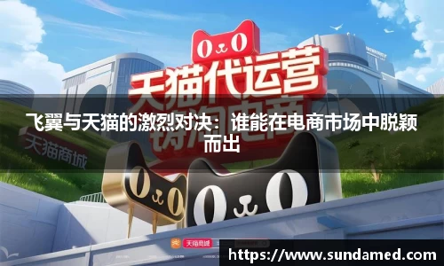 飞翼与天猫的激烈对决：谁能在电商市场中脱颖而出